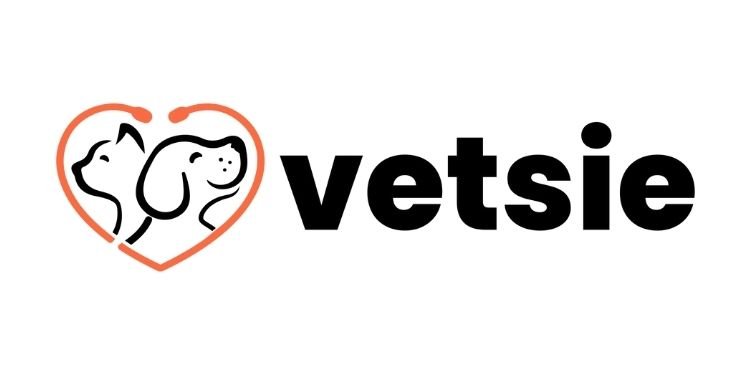 First Fund Welcomes Vetsie to its Portfolio